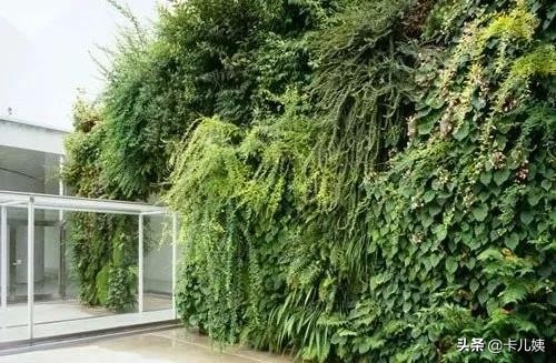 金泽作品,日本金泽最值得去吗