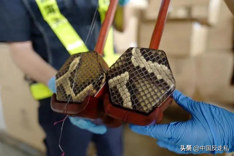 国门利剑缉私案件,黄埔海关国门利剑2018打击成品油