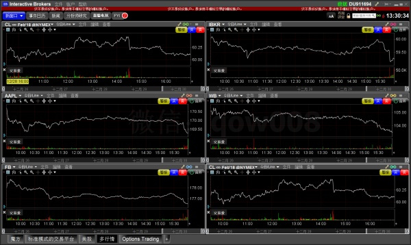 盈透证券下单教程,盈透证券中文版操作视频