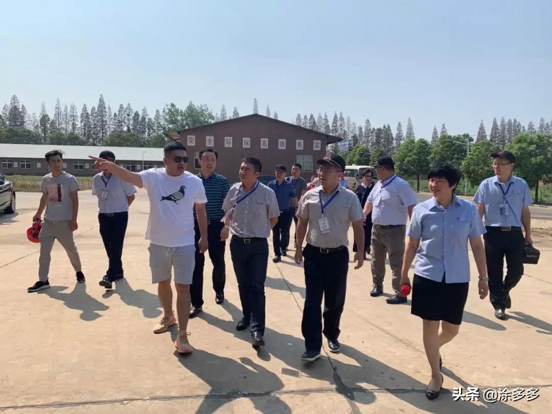 涂多多东海新材料,涂多多国联股份