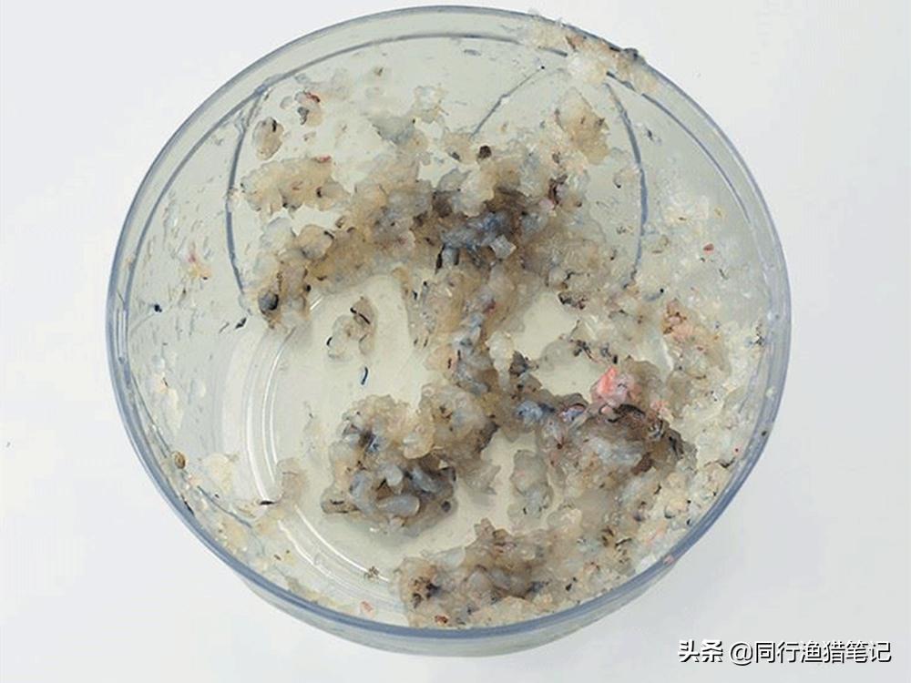 虾滑加红虫怎么开饵,虾滑鱼饵红虫