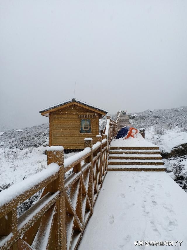 年保玉则现在开放了吗,年保玉则为啥被封