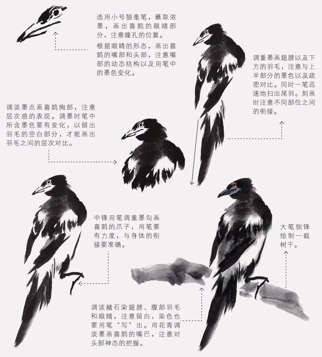 国画怎么把鸟画的活灵活现,如何画鸟要好看