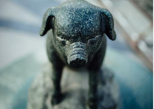 根雕荷叶雕刻入门,手工木雕自学入门根雕