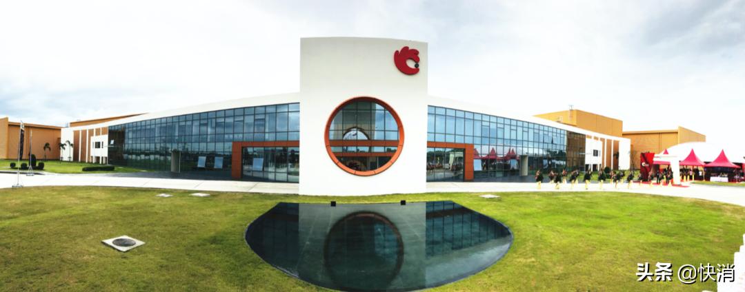 洽洽瓜子工厂在哪里,洽洽瓜子公司现状