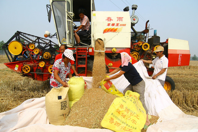 安徽牛肉板面和太和羊肉板面,面中之王清汤面