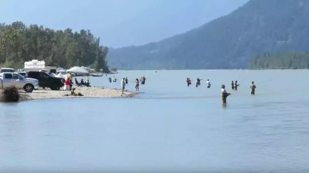 温哥华,超出你期待的钓鱼圣地