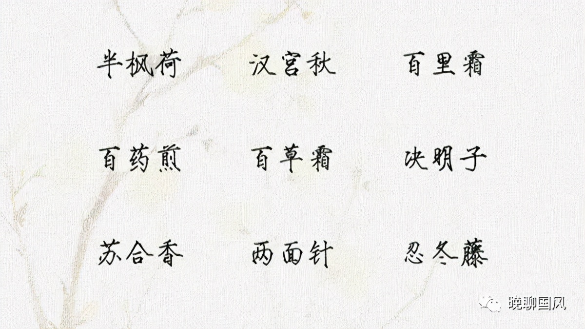 也许你不知道，药名也可以魂牵梦绕