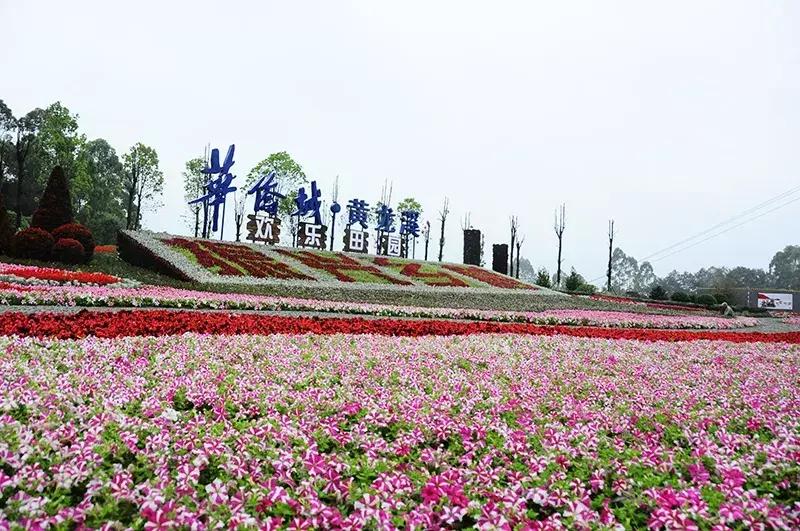 双流区城市森林公园,你生活的城市什么样