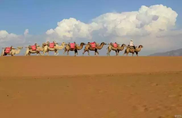 带您探索神秘大西北，一湖倒影一湖诗，半湖金色半湖