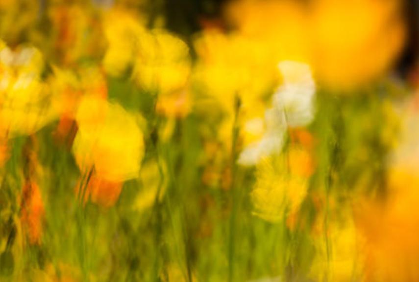 怎么样防止相机删除的照片恢复,摄影如何避免废片