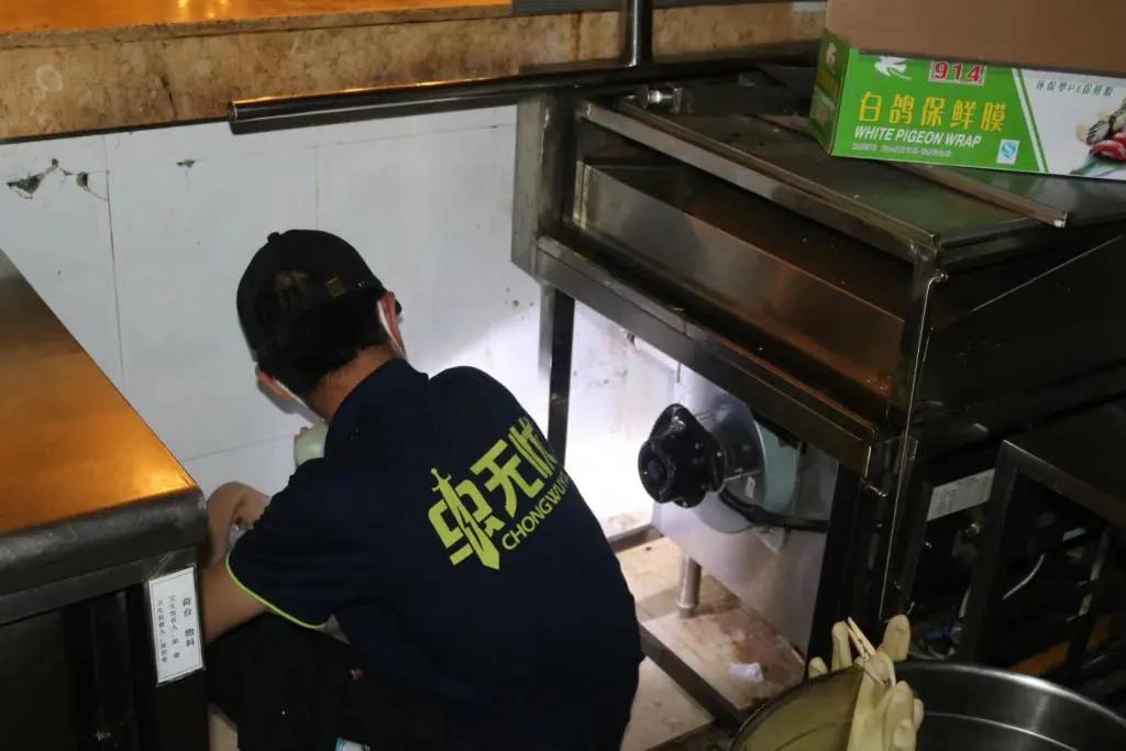 注意！快递纸箱内有“螂出没”，家有闲置快递纸箱赶紧处理