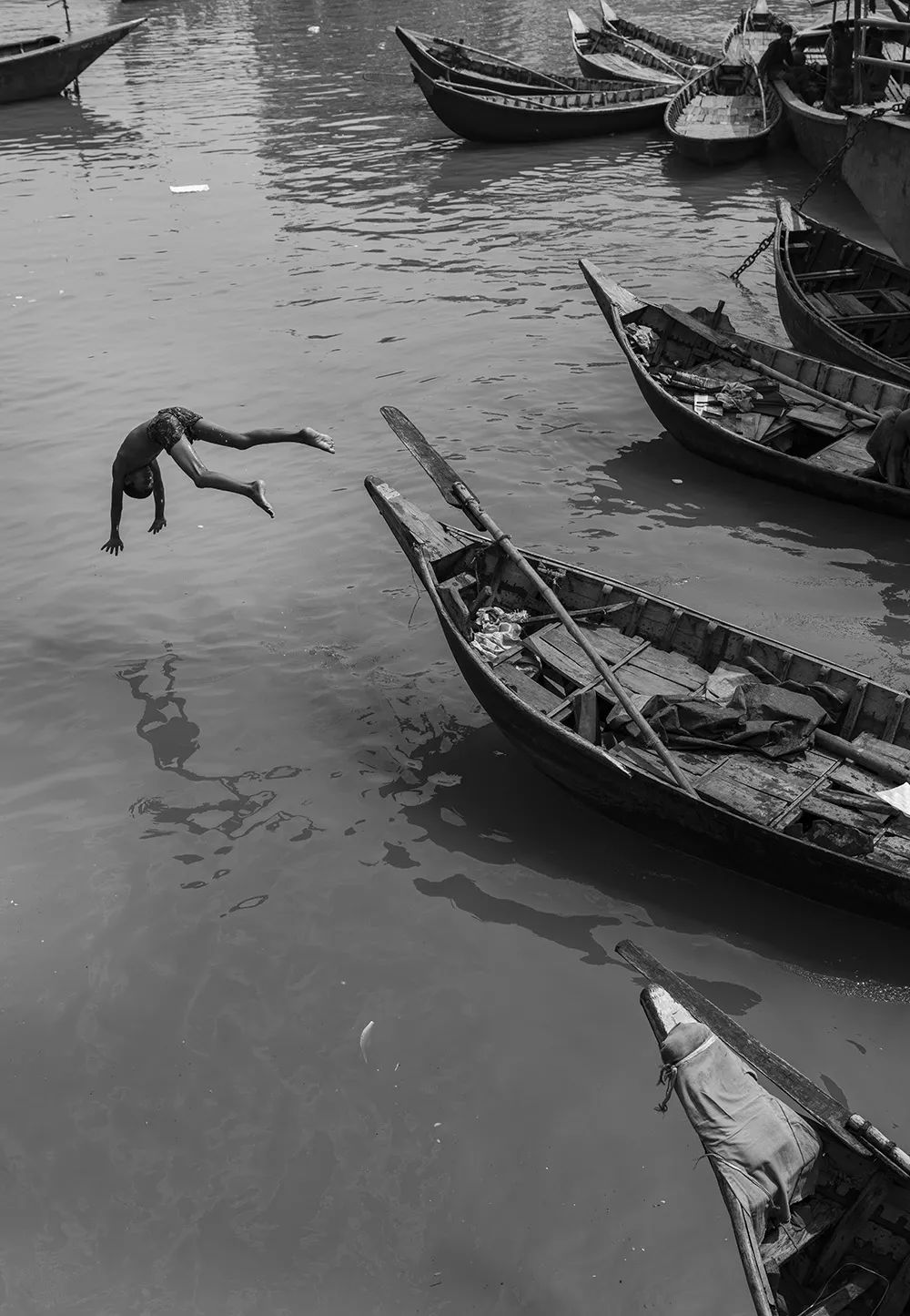 王员外图片,王员外摄影剪辑