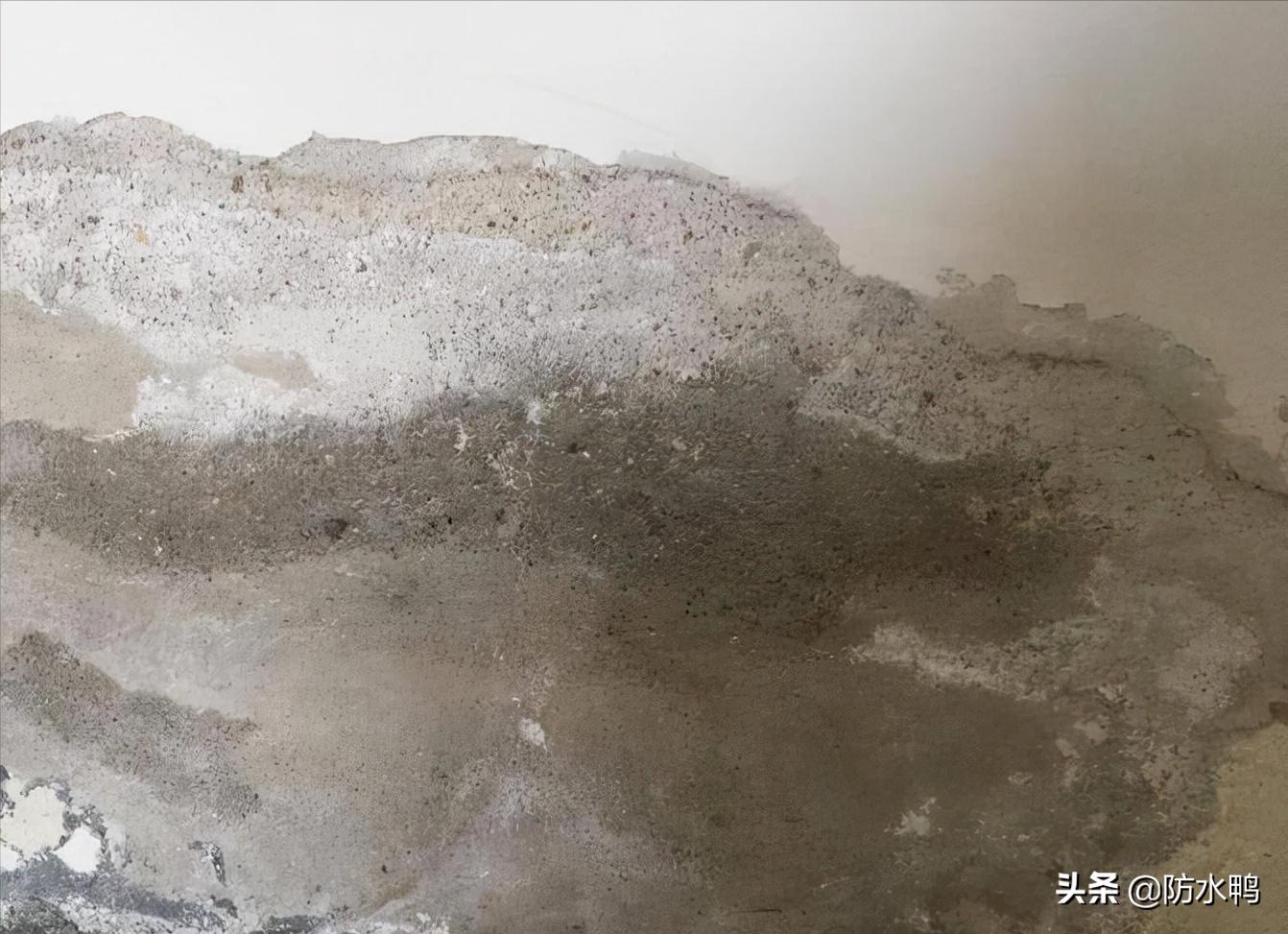 阳台墙面渗水最佳补漏方法,墙面渗水补漏视频教程