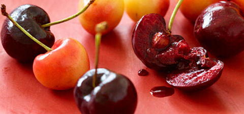 车厘子树苗和樱桃树苗什么区别,车厘子为什么贵