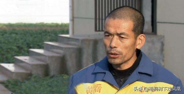 看电视鉴宝获得灵感,带老乡盗抢博物馆,得手36小时后警察找上门