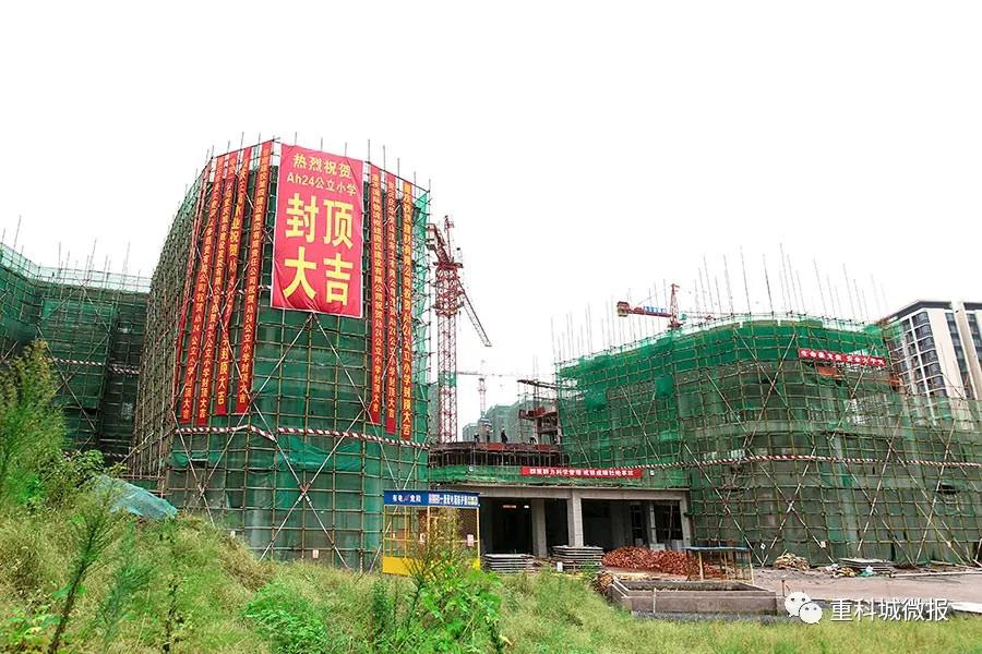 南开中学、南渝中学、树人小学、沙坪坝小学……这些名校扎堆了