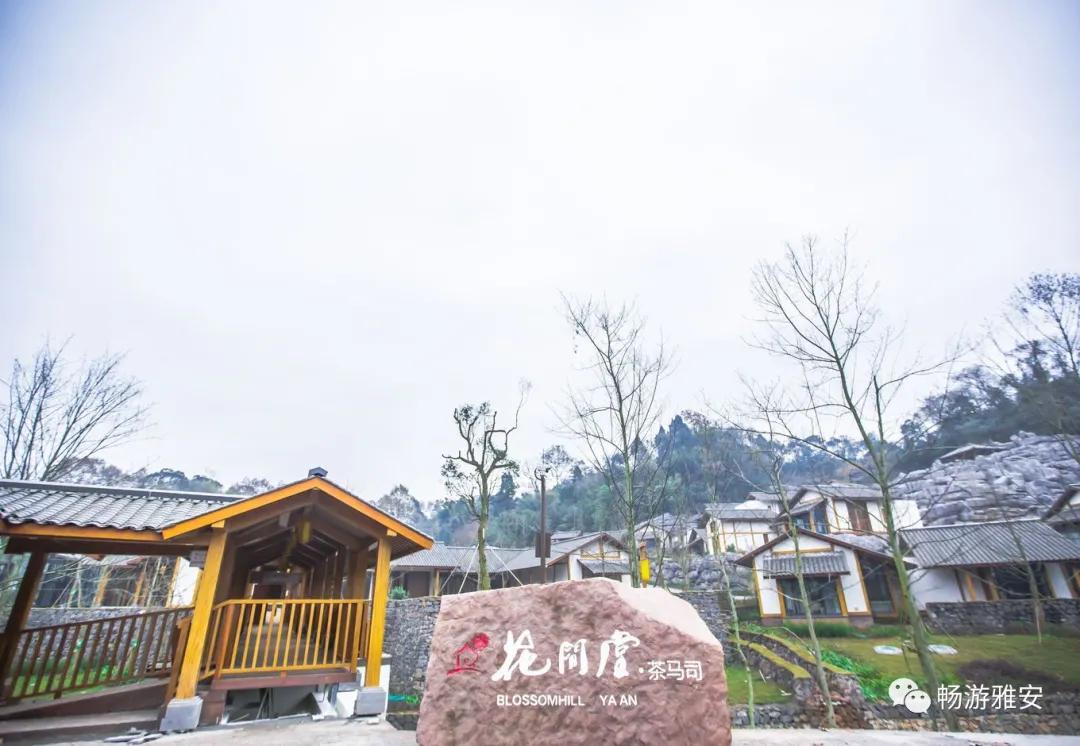 雅安旅游住宿,雅安旅游住哪个区方便