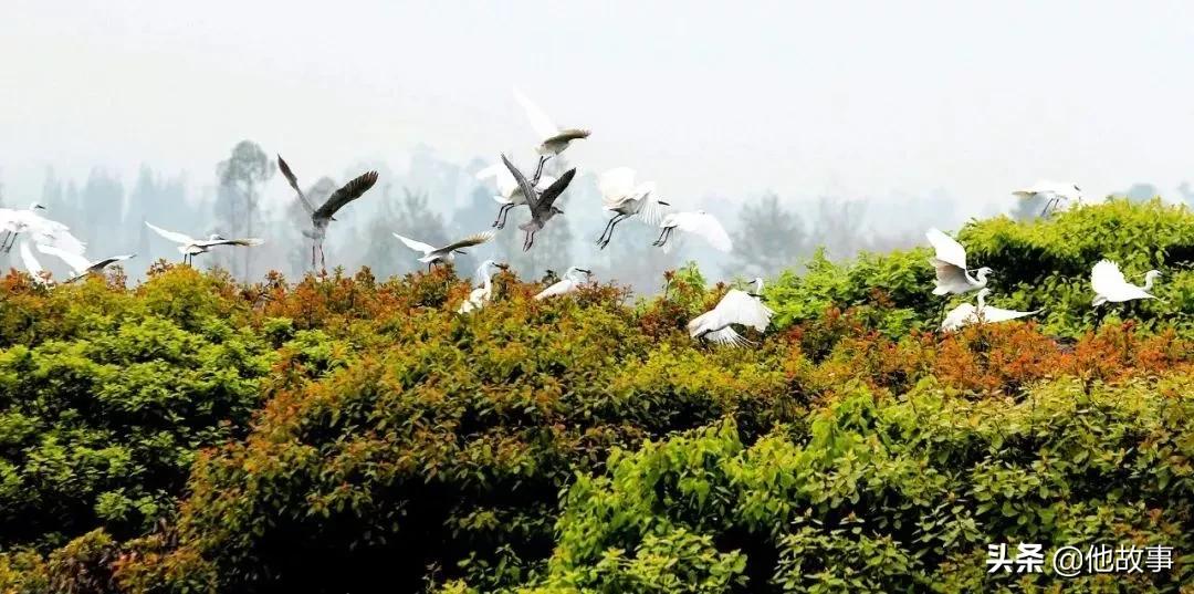 人间仙境般的世外桃源庭院,原始森林自建世外桃源