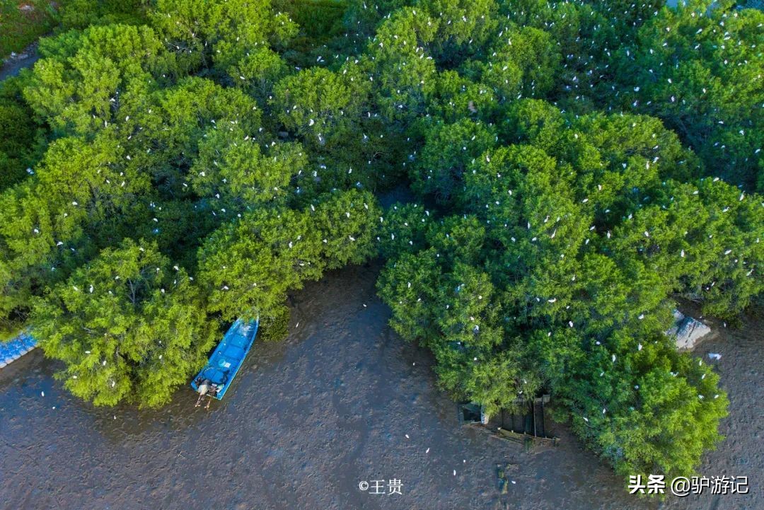 关于揭阳的冷知识,粤东冷知识