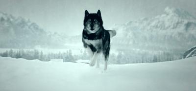 拯救不开心之类电影推荐,十部让人内心平静的电影