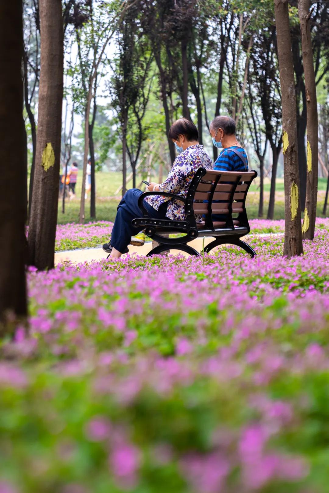 西安花海小森林,西安周边适合郊游野餐的地方