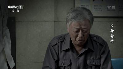 父母爱情为何拿奖,父母爱情总共获得几回奖