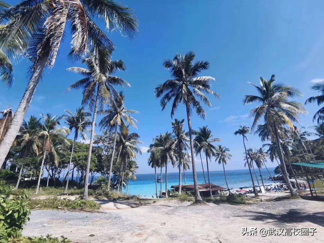 武汉疫情过后就业怎么样,疫情武汉做it行业现在前景