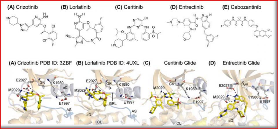 alk基因突变与ros1突变的区别,ros1最新上市靶向药