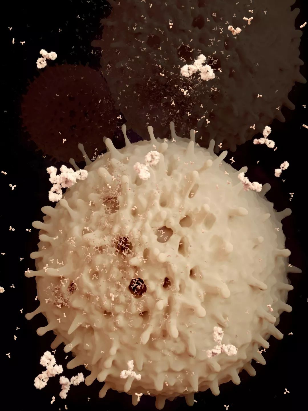 人体防卫战,人体痛点攻击技巧