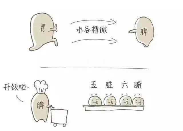 小孩子眼袋黑说脾胃差是吗,孩子脾胃好了眼袋会消失吗