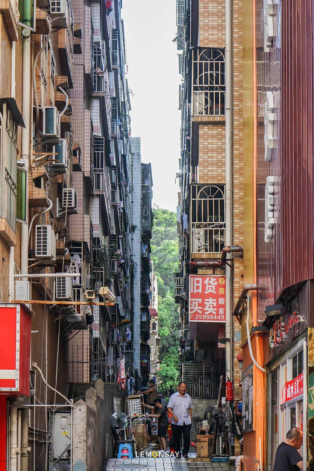 藏在水库的“阿姨街”，人均20块胖成猪