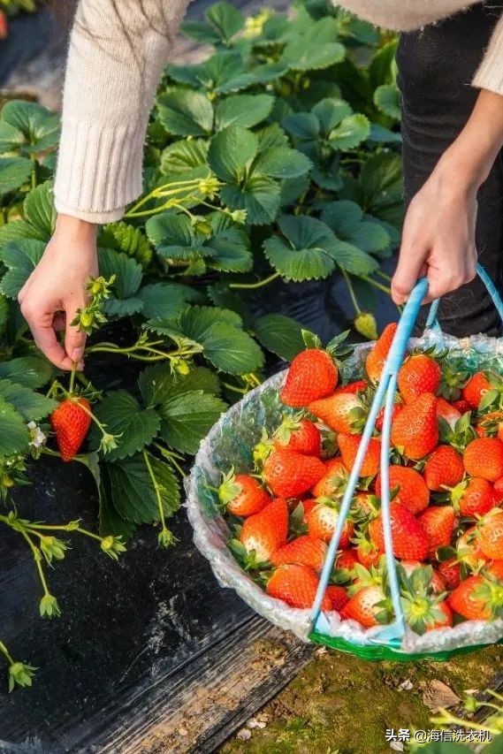 清明|春风十里，一起get神清气爽秘诀