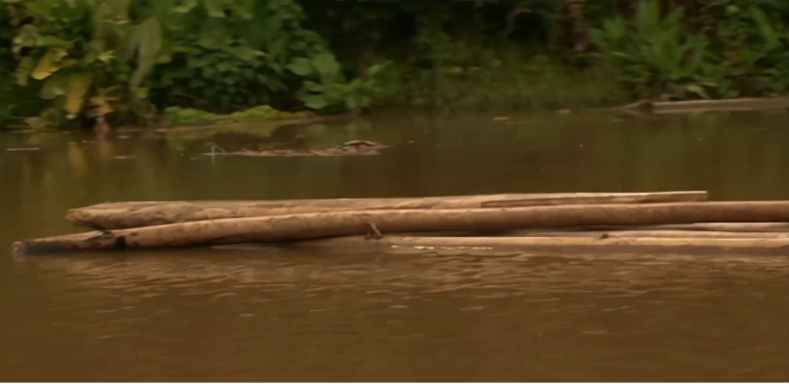 在巴拿马农村开一家超市,一年能赚100万,但进货的路却无比凶险