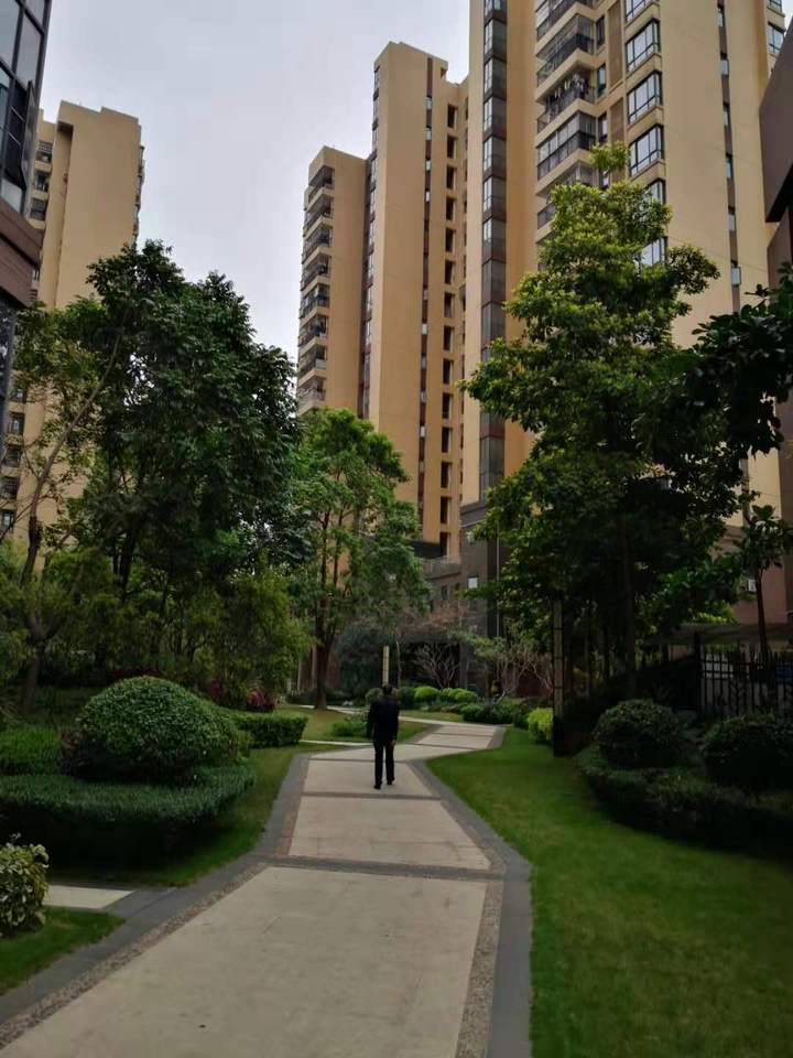 佛山市狮山镇美立方二期,狮山镇美立方二手房