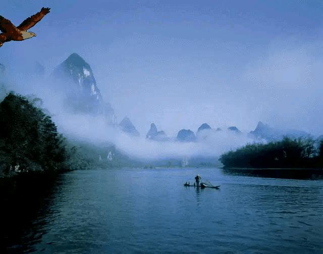 山水花鸟图片欣赏及名称,画花鸟鱼虫活灵活现