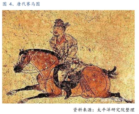 体育行业报告,体育赛马项目介绍