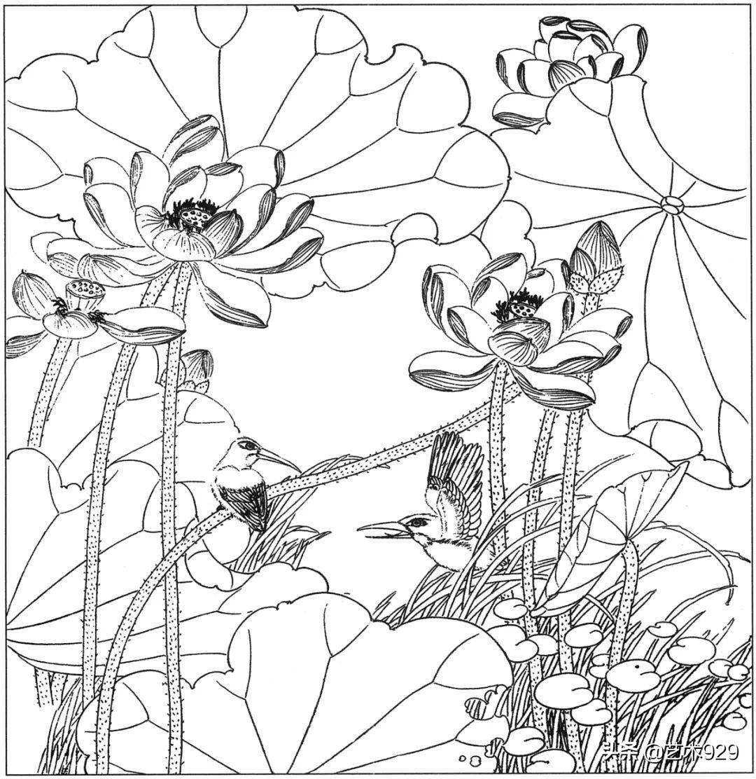 余稚荷花蜻蜓图高清白描底稿,白描荷花勾线方法讲解视频