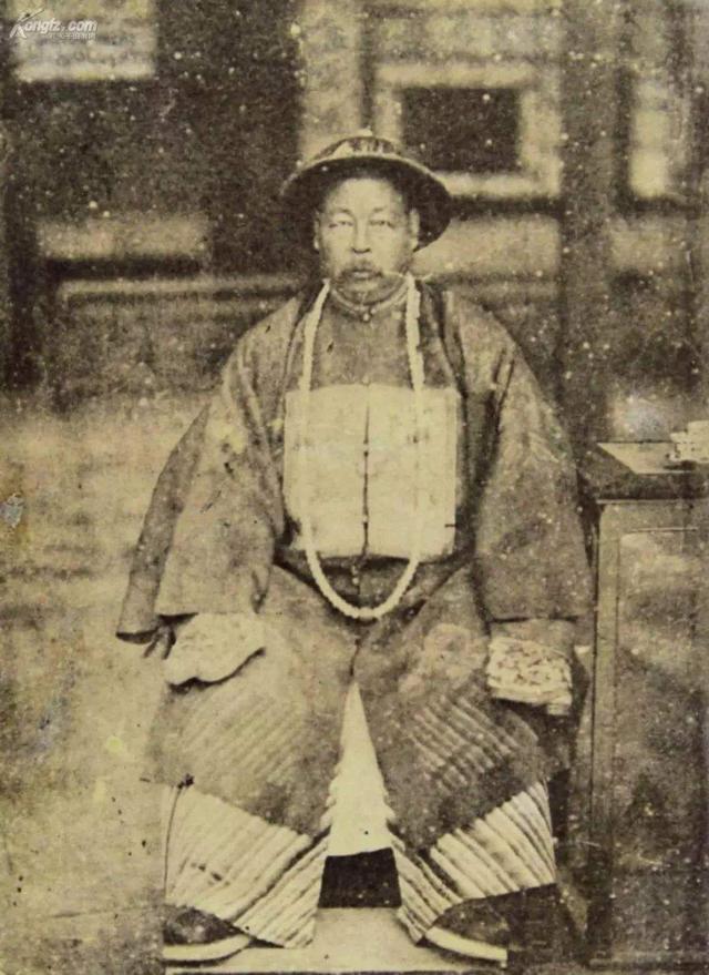 一口把蓝鲸吞掉的庞然大物,一口吃掉蓝鲸的巨兽