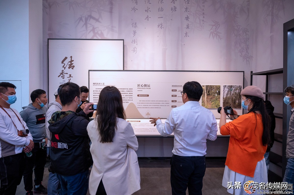 电白在崛起！——2021网络媒体看滨海（电白）采风活动