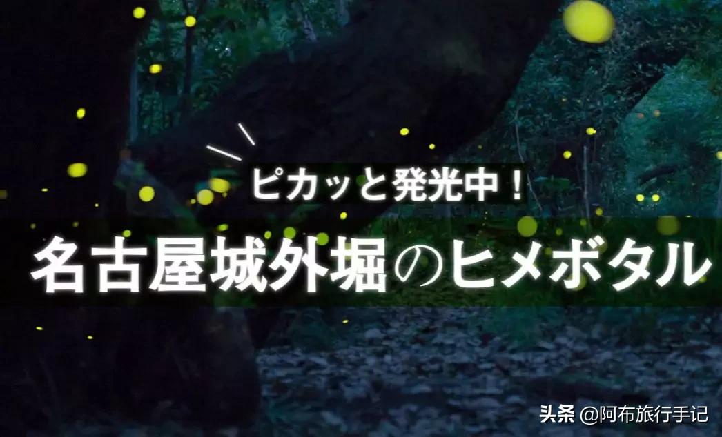 名古屋都有什么好吃的,名古屋有什么中国美食