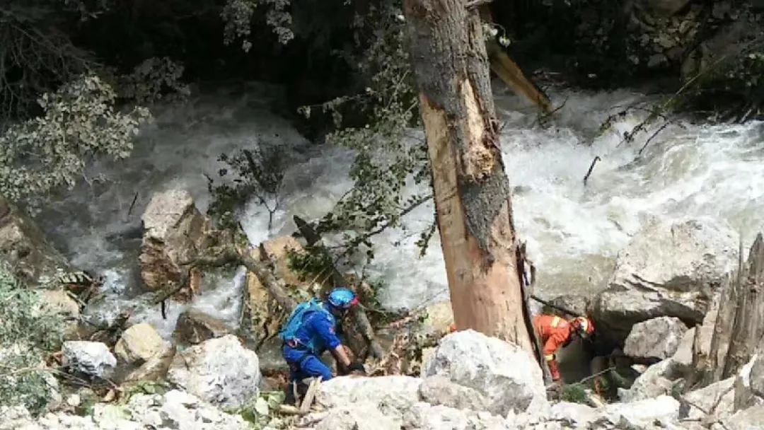 山东人金三角玩直播,枪口顶脑袋也淡定:“没有钱解决不了的事”