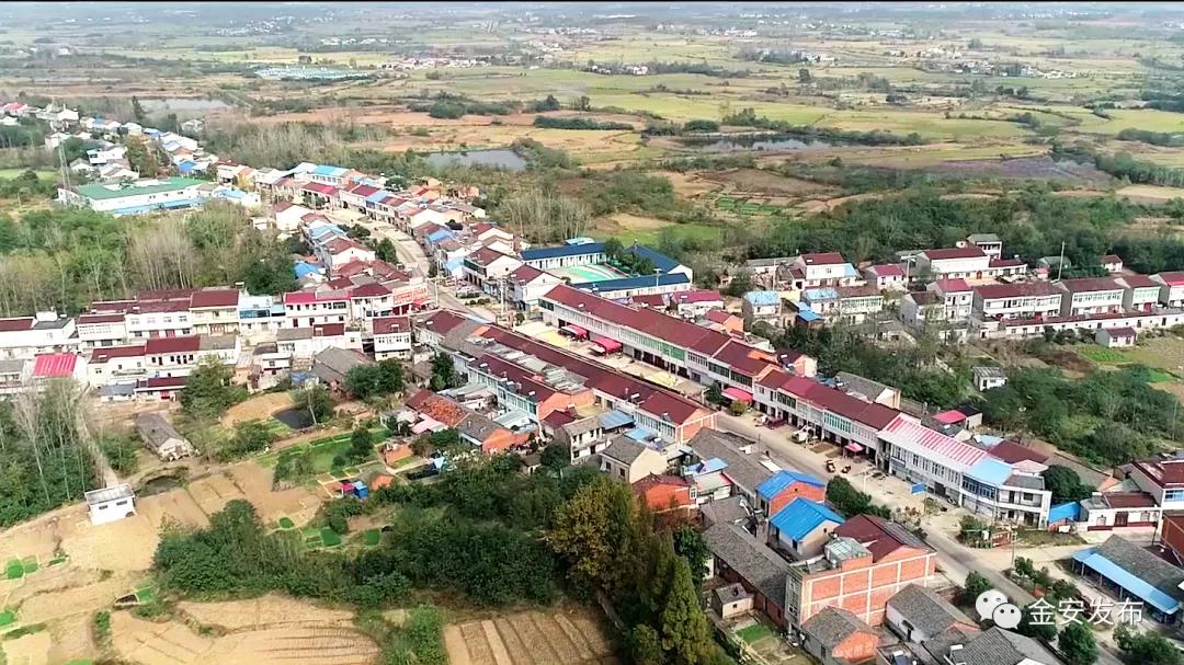 厉害了我的村视频,厉害了我的乡村