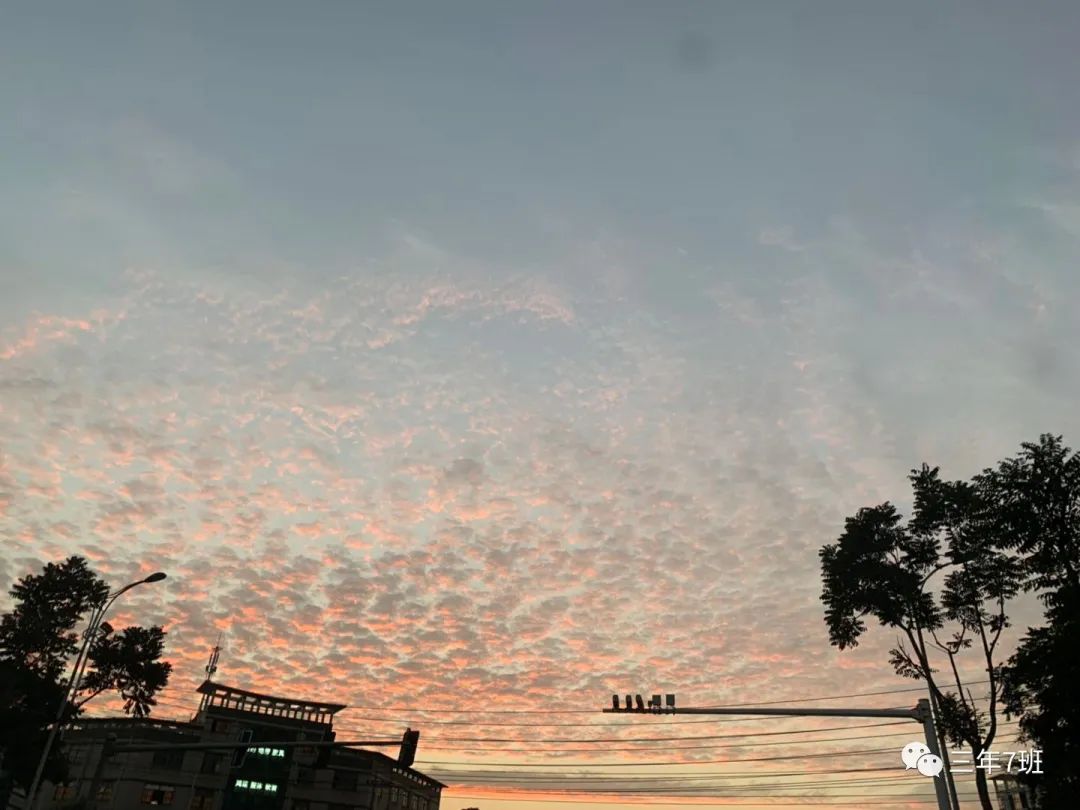 朝鲜战争详细讲说,关于朝鲜战争的知识点