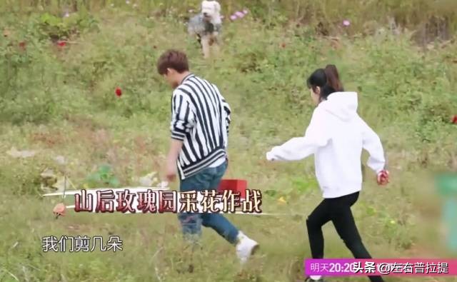 壮士出川杨紫,杨紫怎样瘦下来