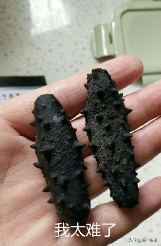 加拿大进口即食海参,加拿大超市抢购现状