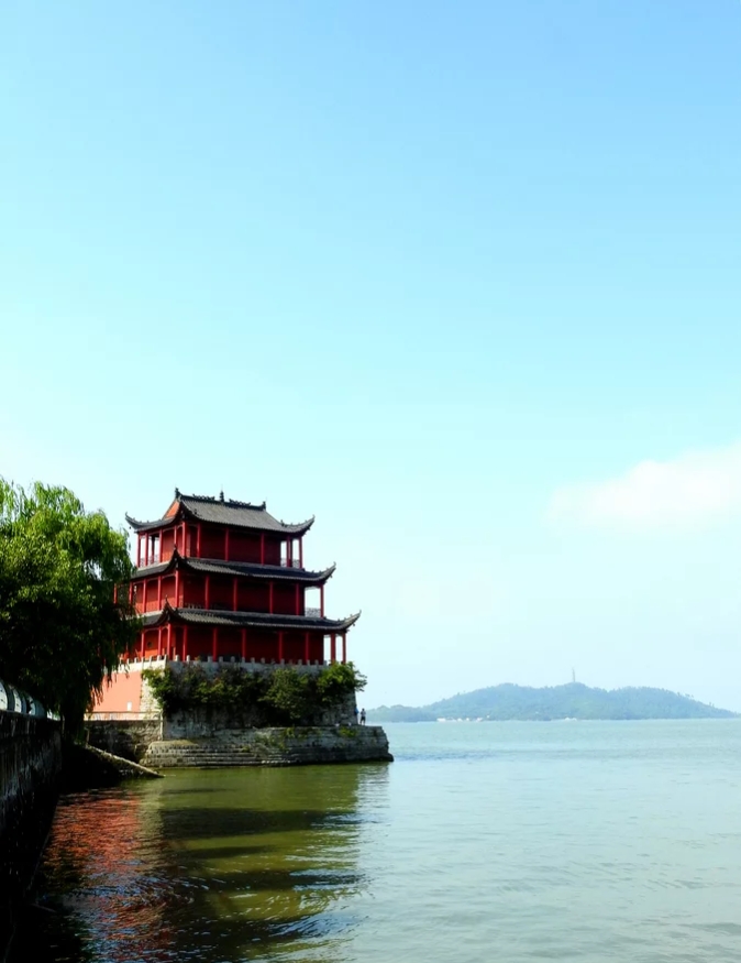 环巢钩沉——赖渔而生的有巢文化