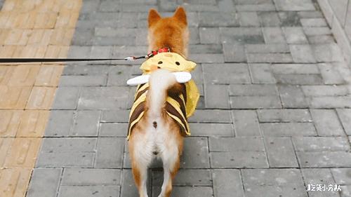 高考择校tips,高考择校指导985211