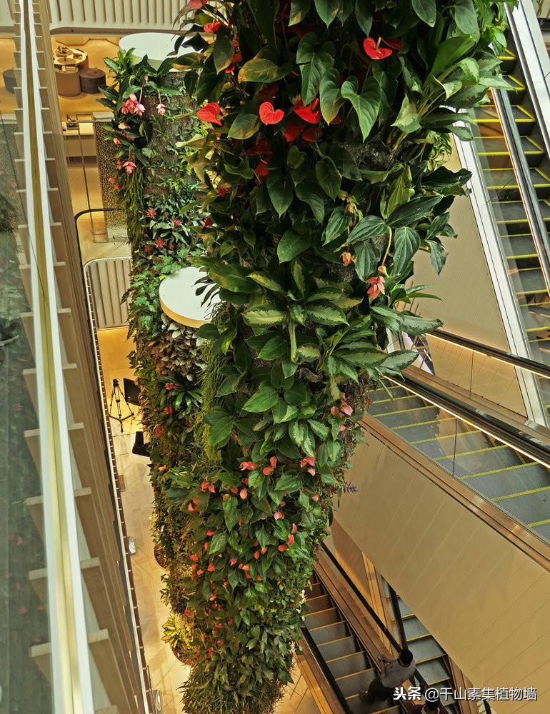 美丽的景观商店效果图,大型仿真植物商业街景观造景装饰