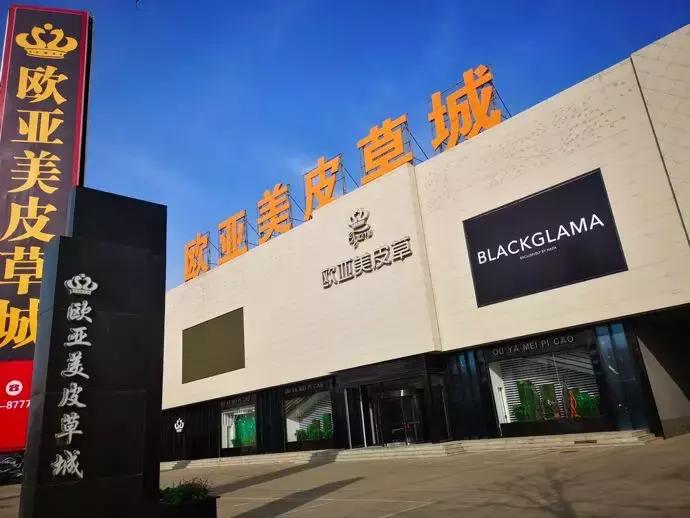 东北绝地求生战队,绝地求生鹤城